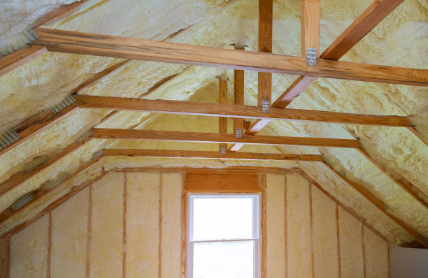 Best Insulation Maintenance and Repair in Meridian, TX
