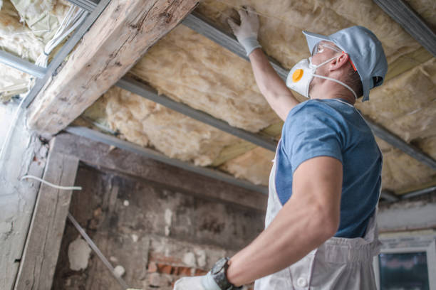 Best Geographic-Specific Insulation Services in Meridian, TX