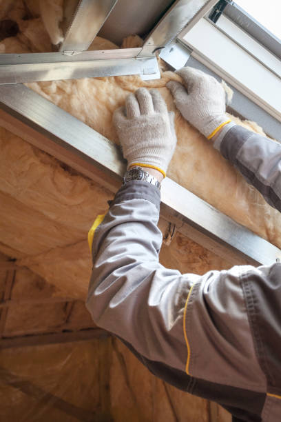 Best Blown-in Insulation in Meridian, TX